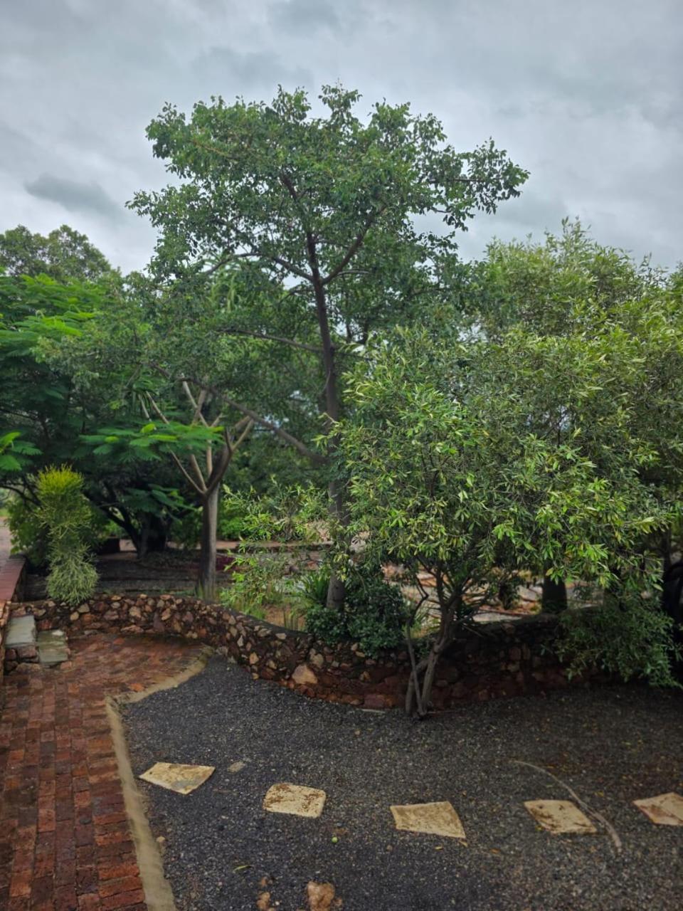 Rocky Mountain Holiday Home Hartbeespoort Exterior foto